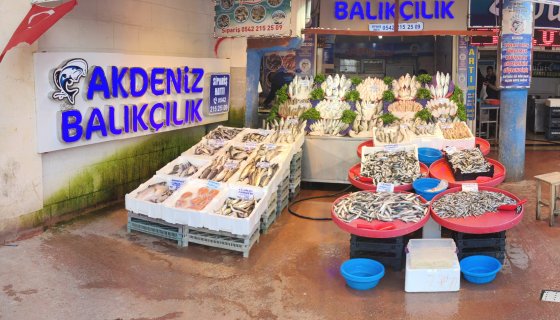 FİRMAMIZDAN KARELER