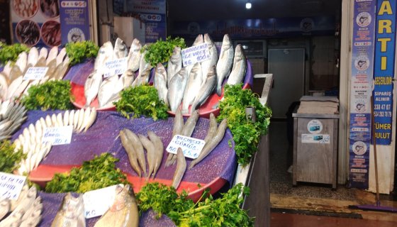 GAZİANTEP AKDENİZ BALIKÇILIK